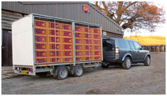 4x4 vehicle delivering poults